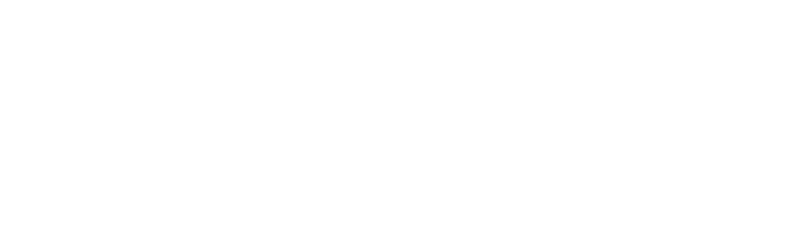 KIWI Logo